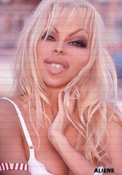 PAMELA LEE ANDERSON